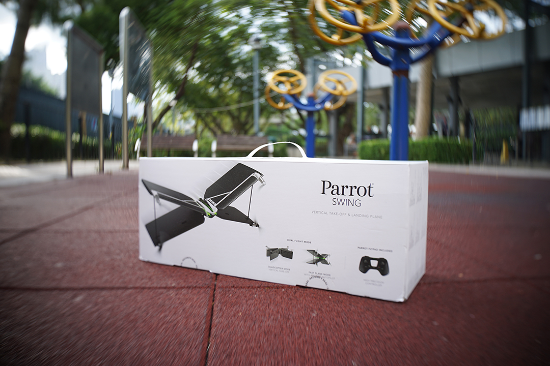 parrot swing and flypad