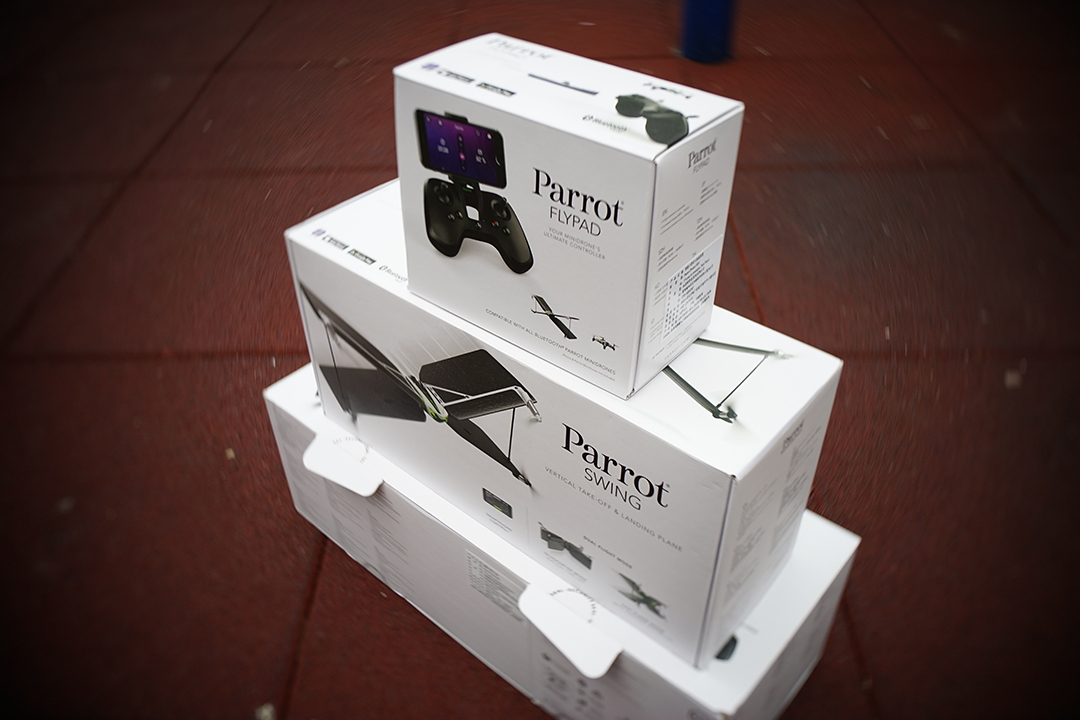 parrot swing and flypad
